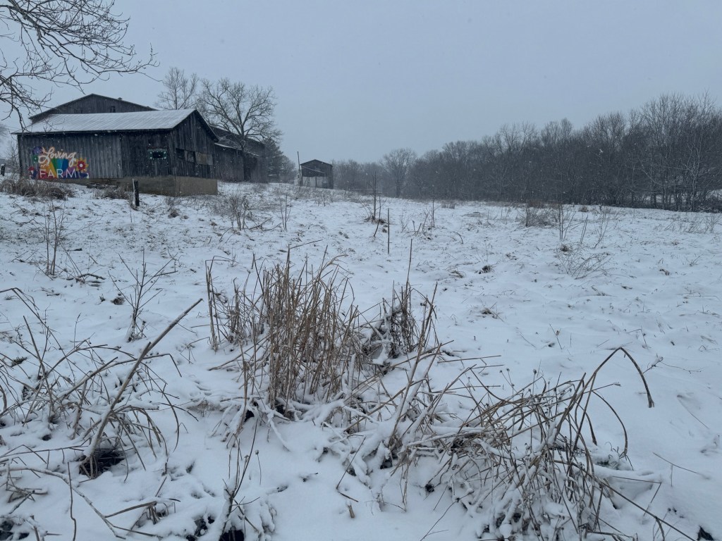 Farm Week Recap: Weather, Maple Tapping, and Tree&nbsp;Pruning