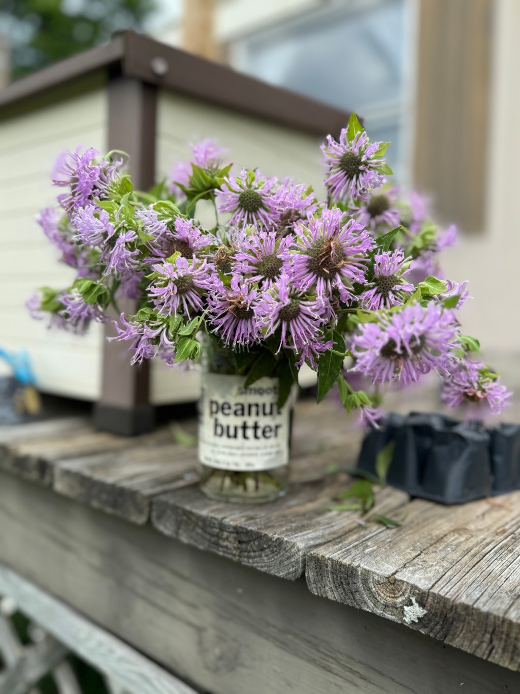 Daydreaming and community&nbsp;building.