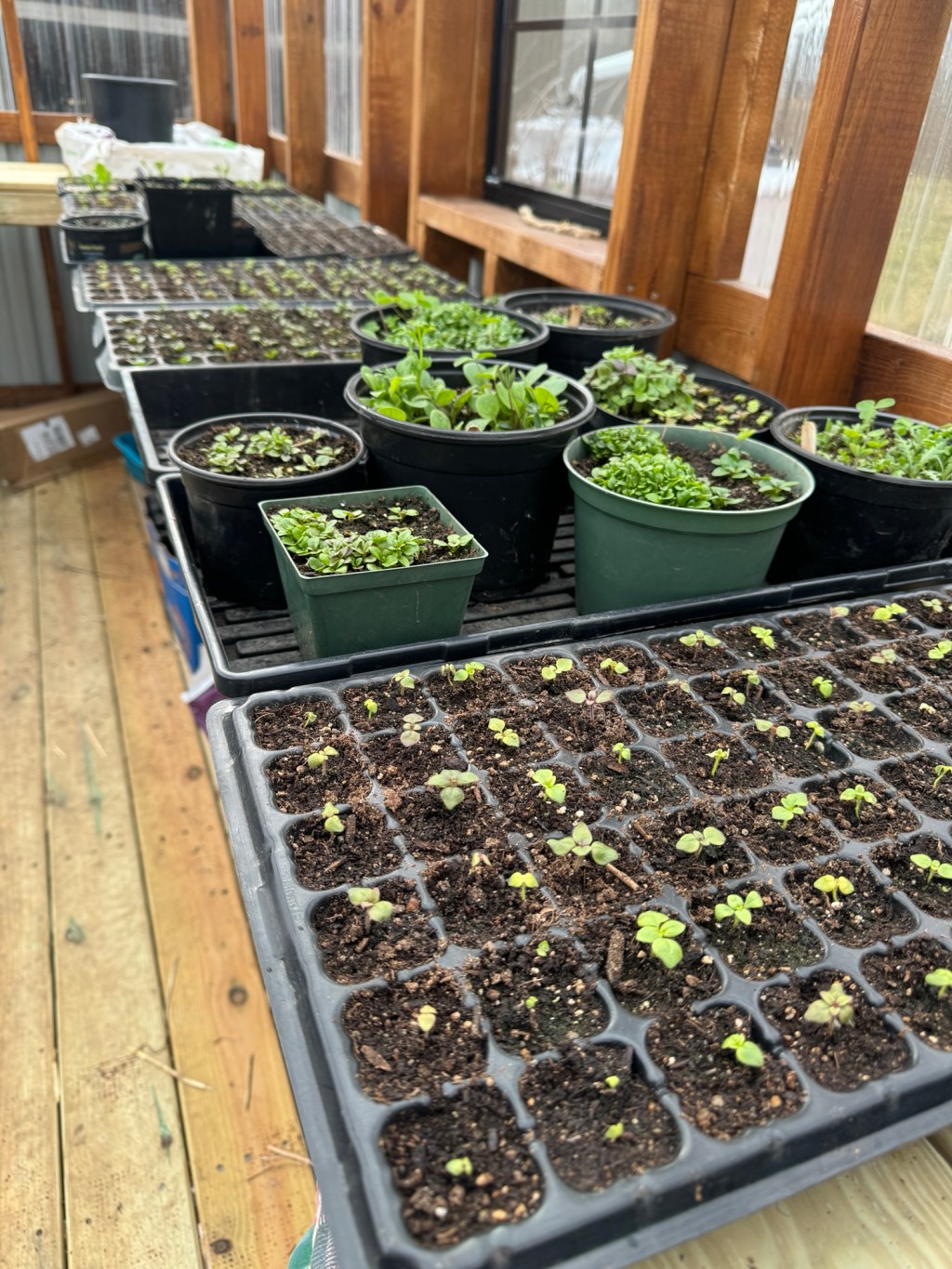 BTS at Loving Farm: The Coolbot is Wired&nbsp;Up!