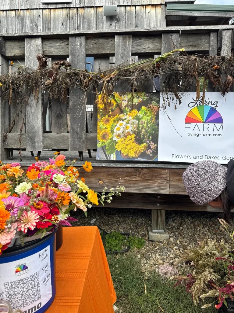 BTS at Loving Farm: No Frostmas&nbsp;Yet!